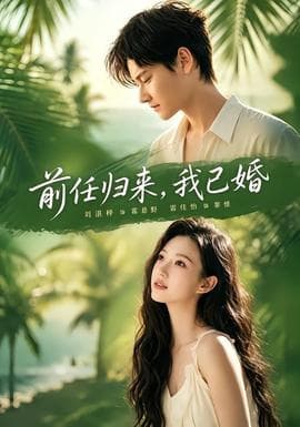 前任归来，我已婚海报