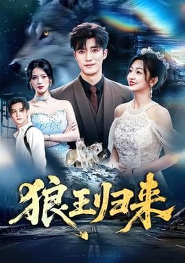 狼王归来海报