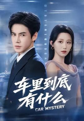 车里到底有什么海报