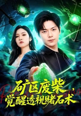 矿区废柴，觉醒透视赌石术海报