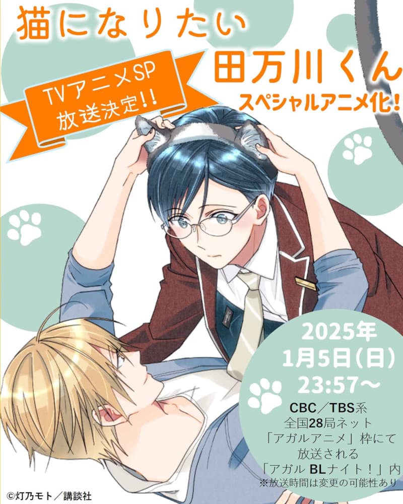 想变成猫的田万川君海报