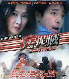 兵捉贼2003海报