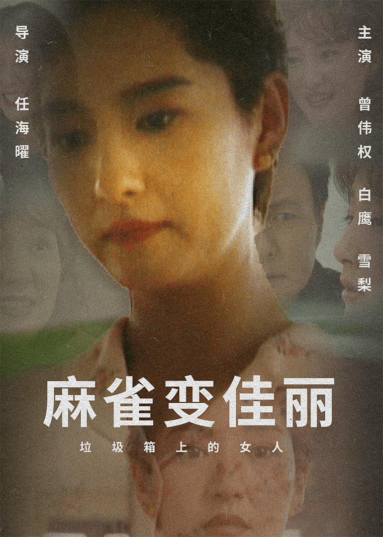 麻雀变佳丽海报