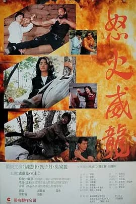 怒火威龙1992海报