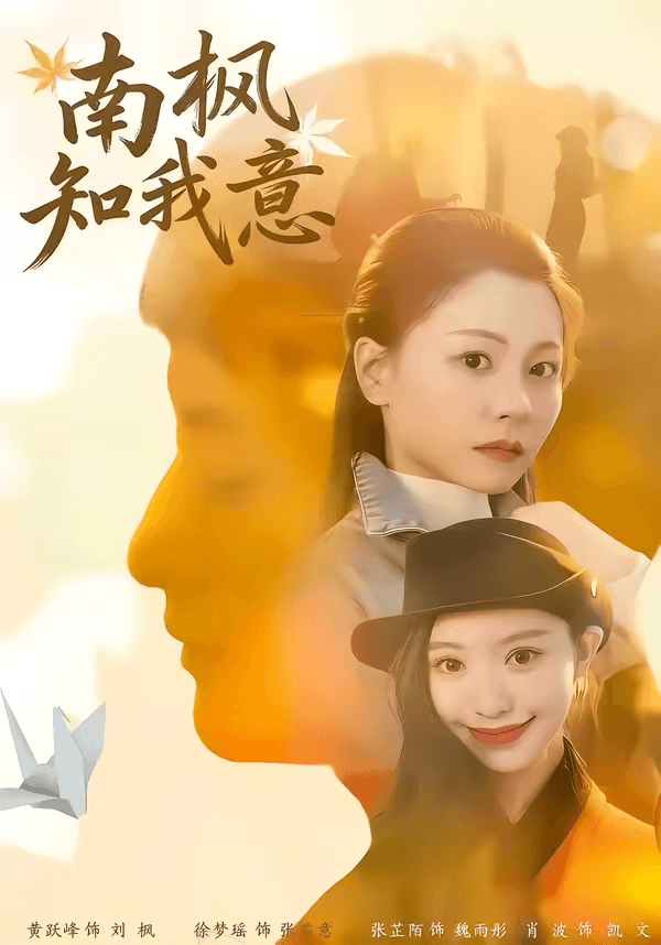 南枫知我意海报