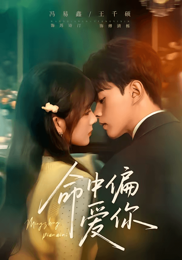 命中偏爱你海报