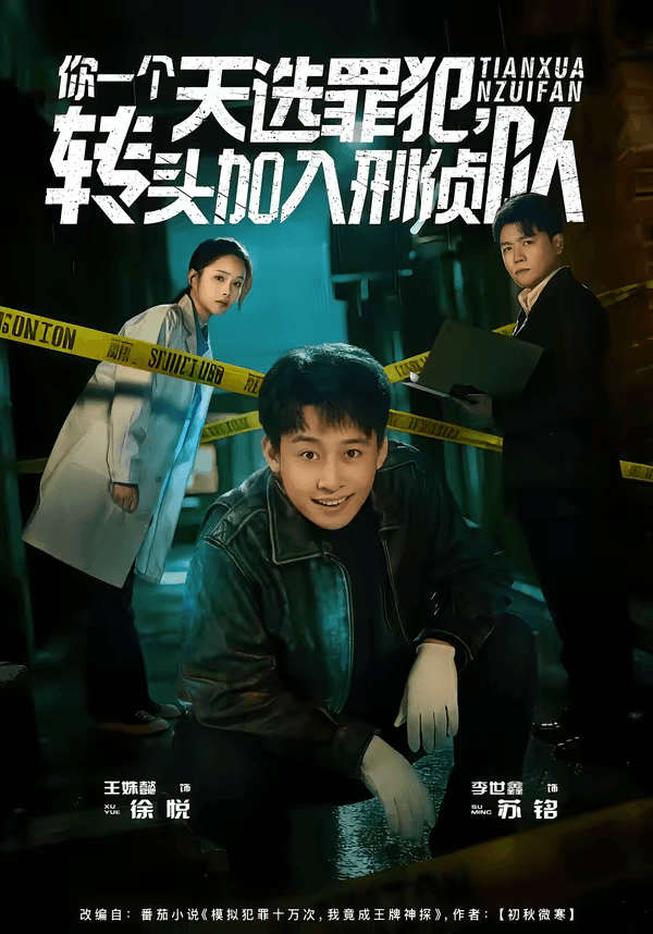 你一个天选罪犯，转头加入刑侦队海报