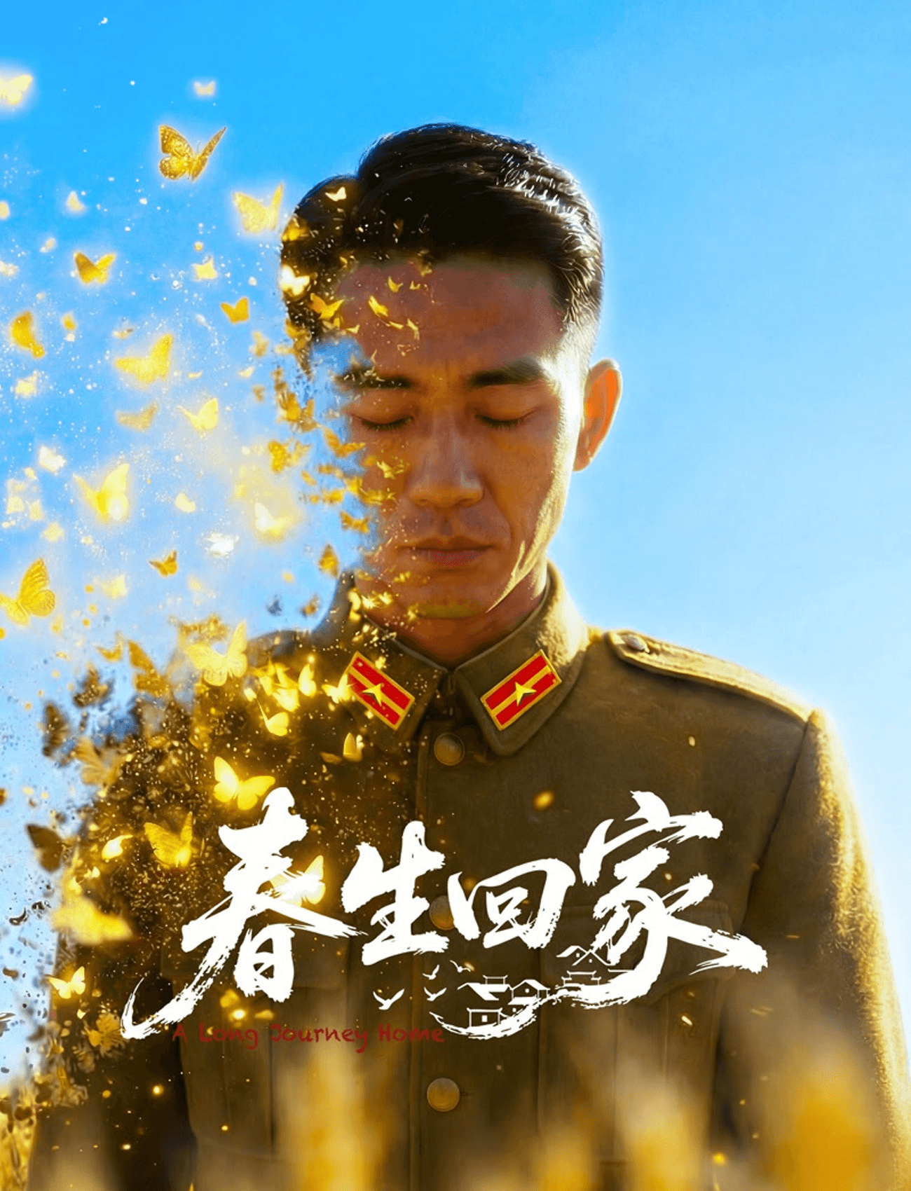 春生回家海报