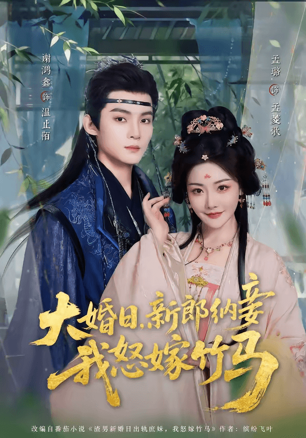 大婚日，新郎纳妾我怒嫁竹马海报