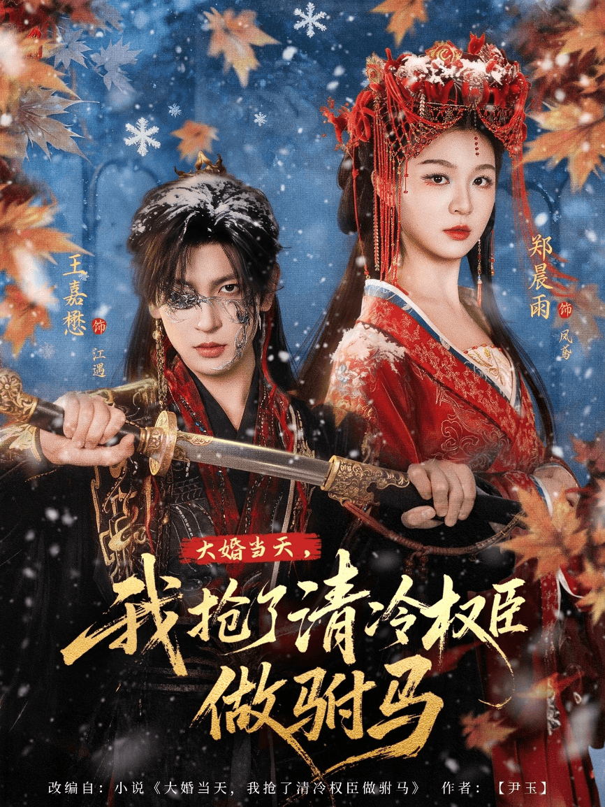 大婚当天，我抢了清冷权臣做驸马海报