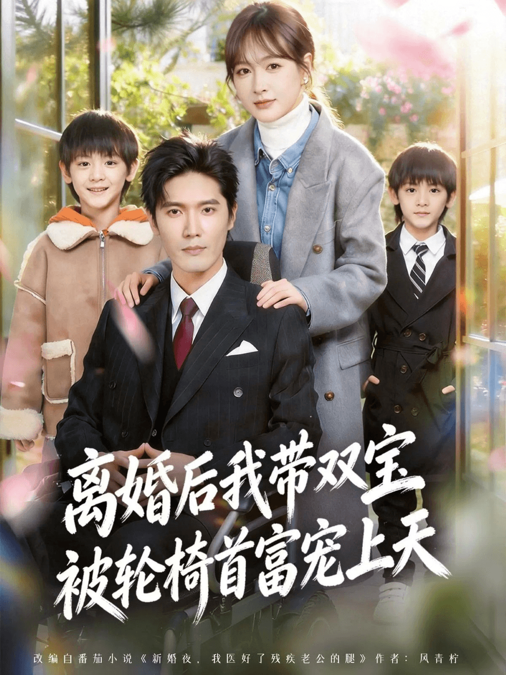 离婚后我带双宝被轮椅首富宠上天＆离婚后，我被轮椅首富宠上天海报