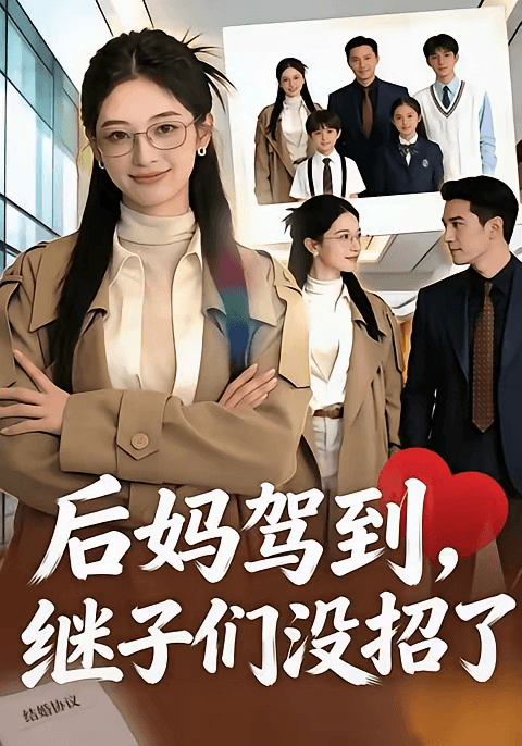 后妈驾到，继子们没招了海报