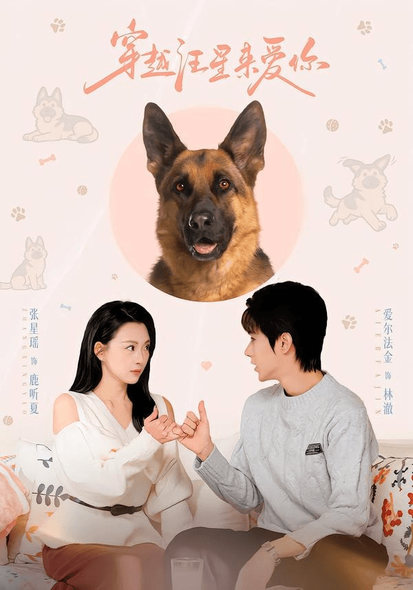 穿越汪星来爱你海报