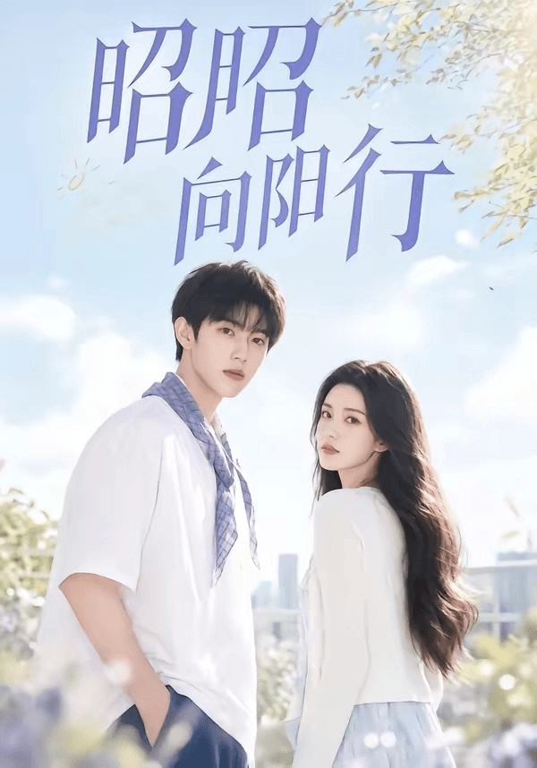 昭昭向阳行海报
