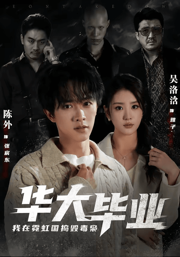 华大毕业，我在霓虹国捣毁毒枭海报