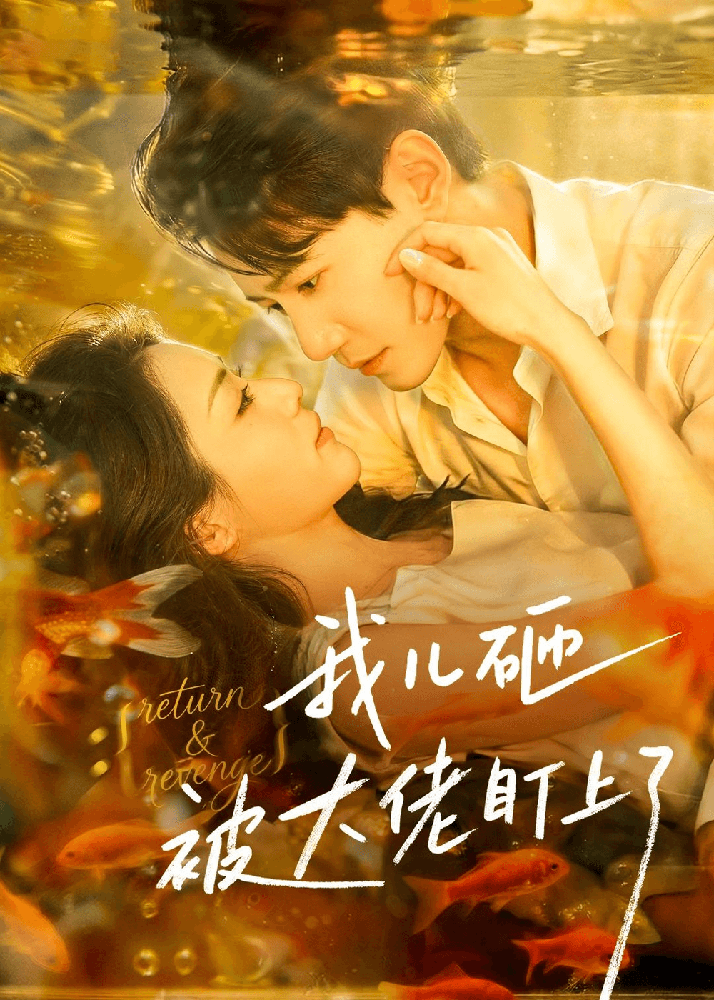 我儿砸被大佬盯上了海报