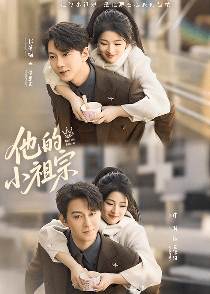 他的小祖宗海报