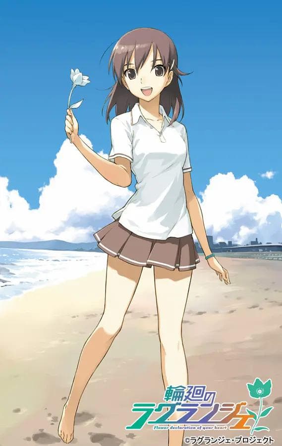 轮回的拉格朗日海报