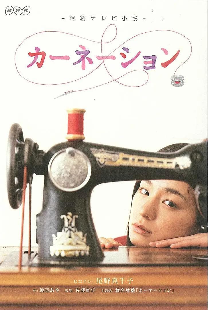 康乃馨海报