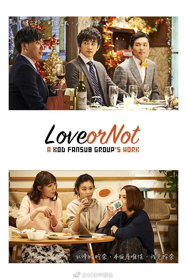 Love or Not海报