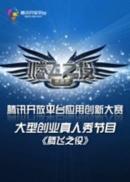 腾飞之役海报