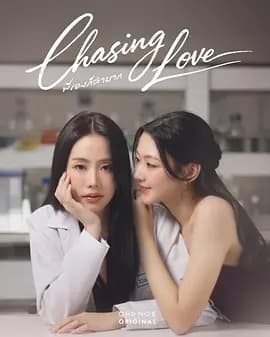 追逐爱情海报