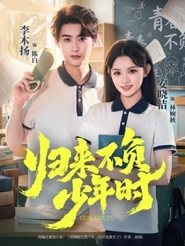归来不负少年时海报