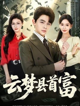 云梦县首富海报