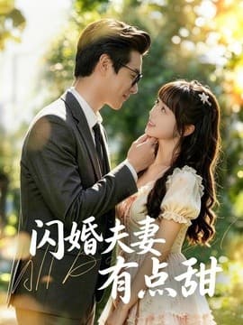 闪婚夫妻有点甜海报