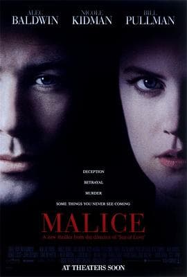 体热边缘 Malice海报