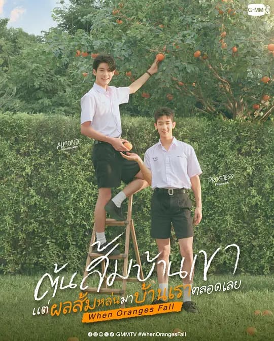 当橘子掉落时海报