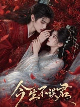 今生不误君海报