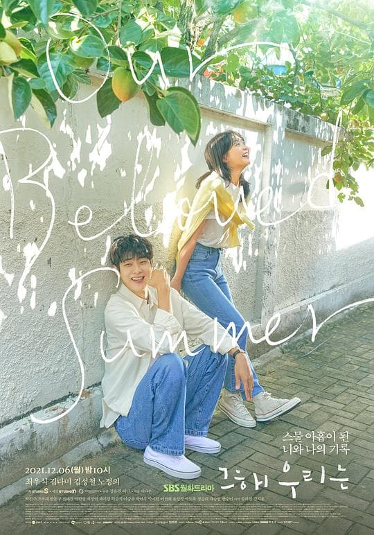 那年,我们的夏天海报