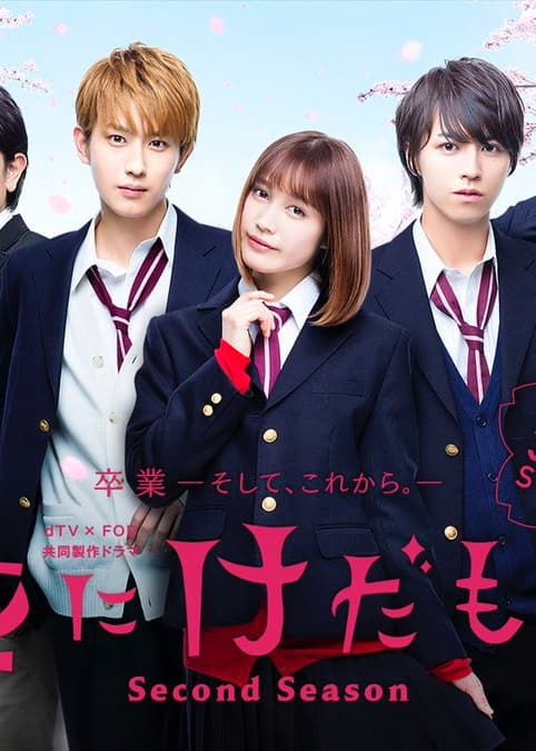 花予野兽第二季海报