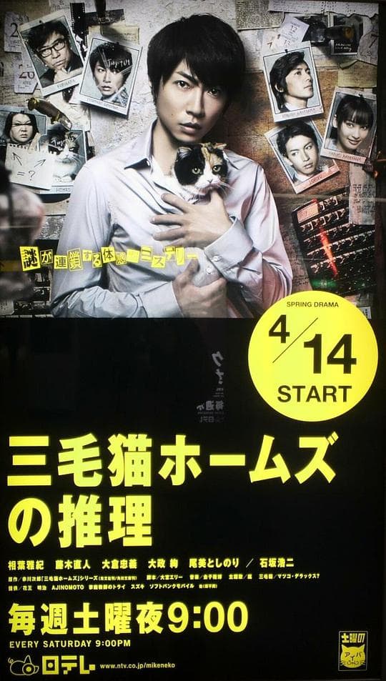 三花猫福尔摩斯的推理海报