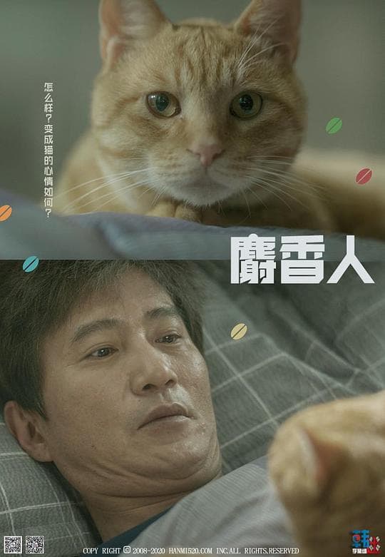麝香人海报