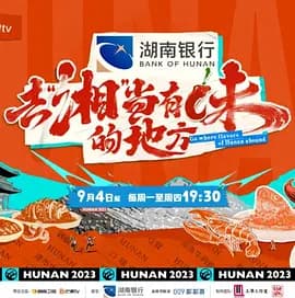 去“湘”当有味的地方海报