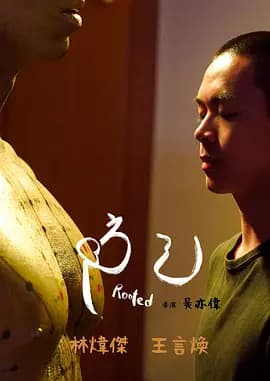 防己海报