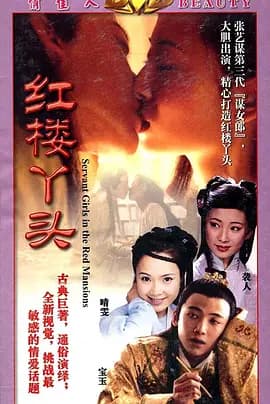 红楼丫头海报