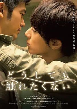 无法触碰的爱(2014)海报