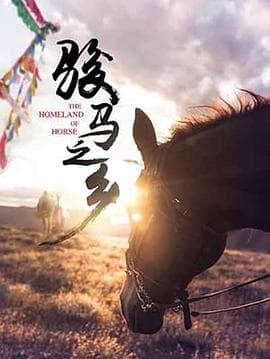 骏马之乡海报