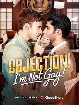 反对!我不是GAY海报