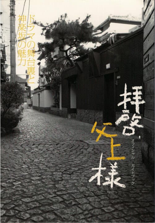 敬启,父亲大人海报