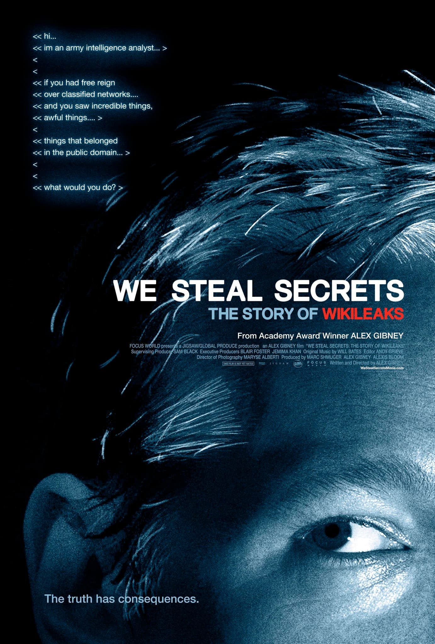 We Steal Secrets海报